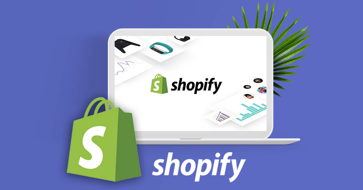 TP_Shopify11