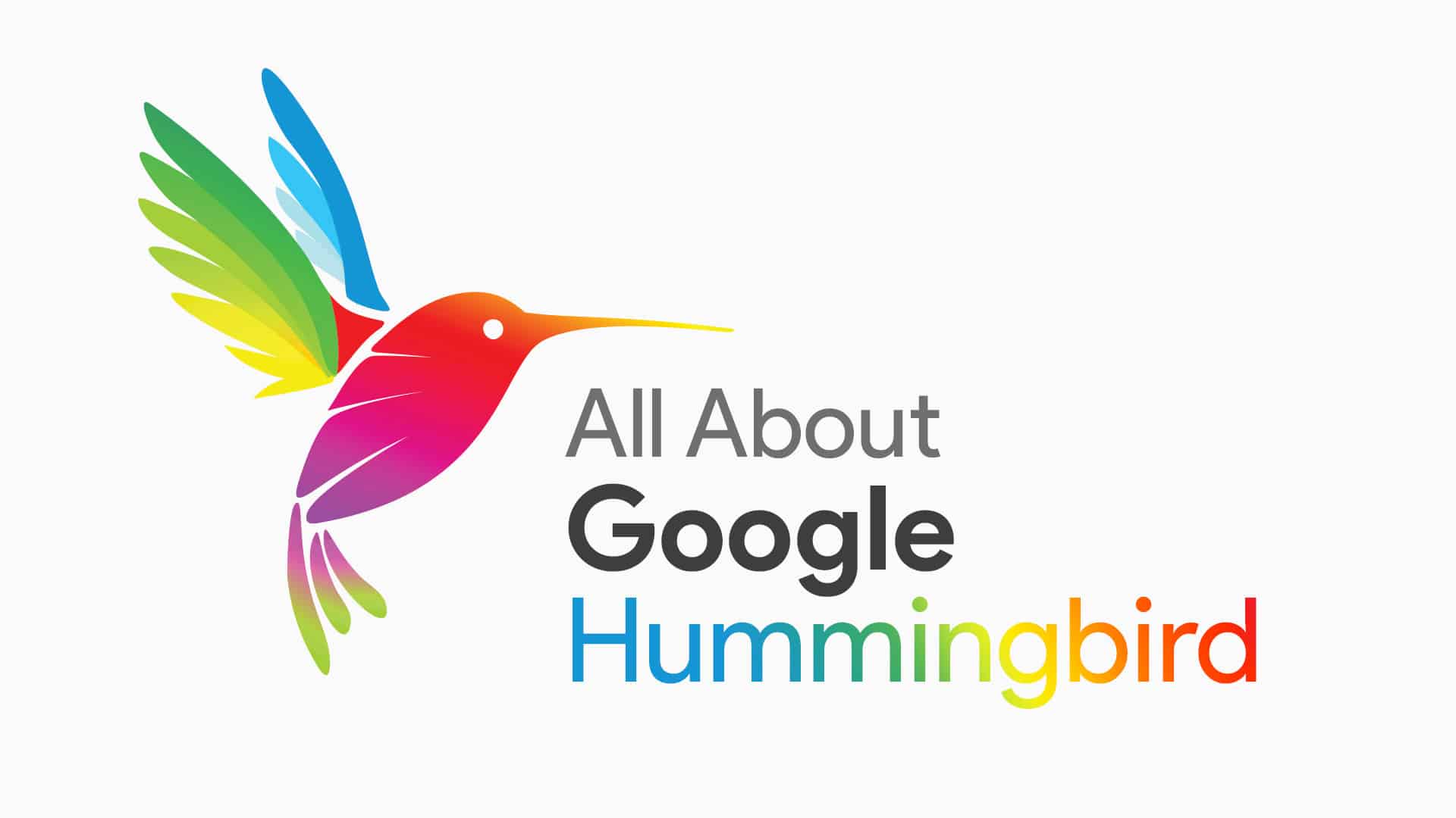 GoogleHummingbird2